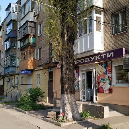 Двухкомнатный Люкс Центр Металлургов 19 Kr Apartments 克里沃罗格 外观 照片